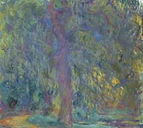 Saule pleureur, 1918-19